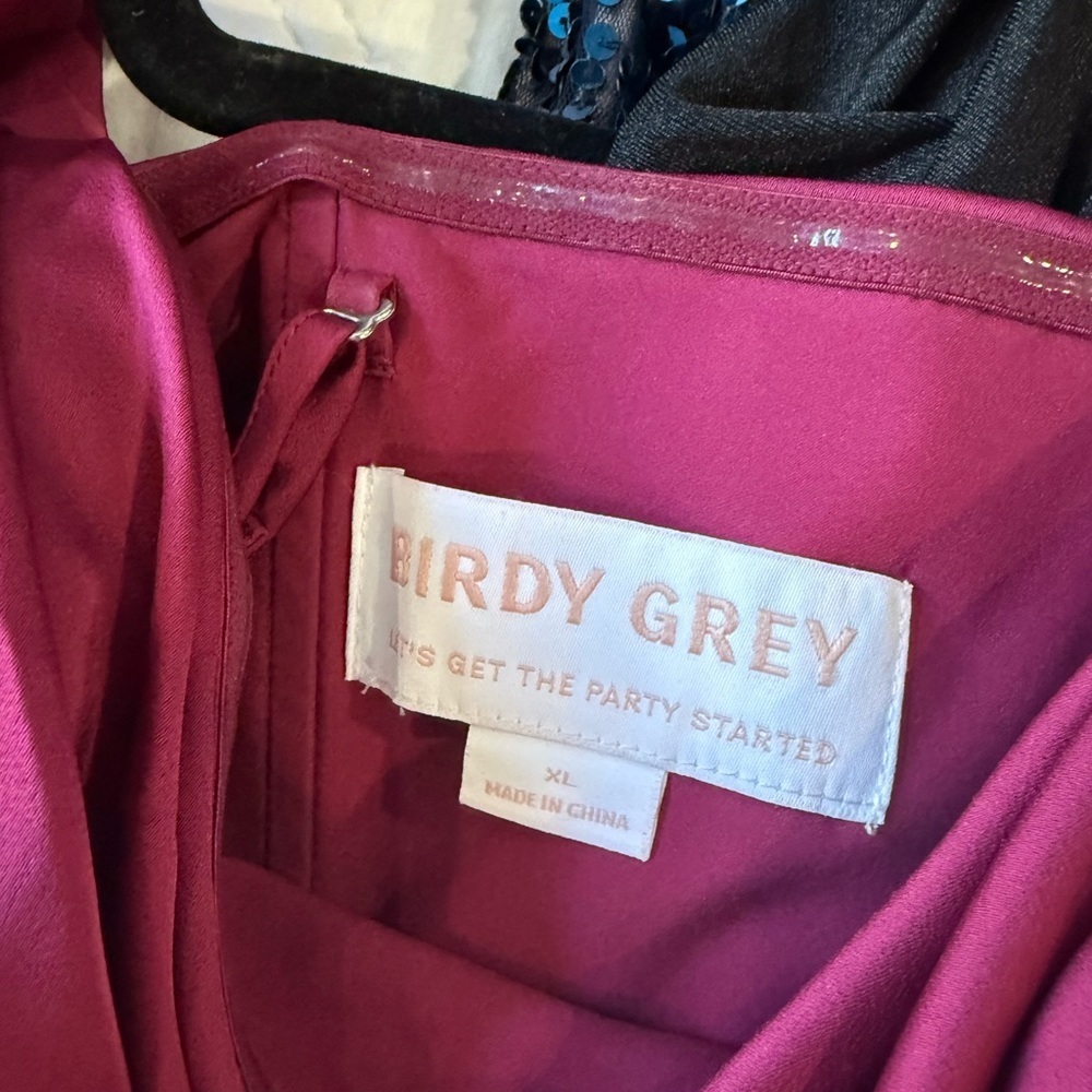 Birdy Grey Fuchsia Maxi Dress - Picture 3 of 3